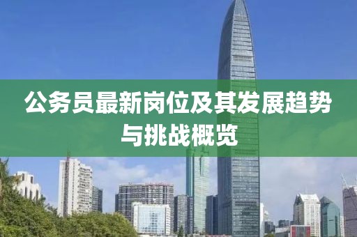 公务员最新岗位及其发展趋势与挑战概览