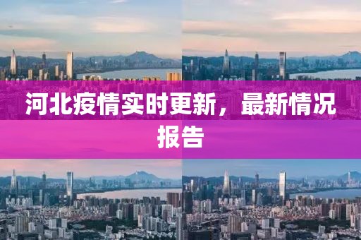河北疫情实时更新，最新情况报告