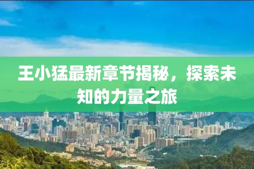 王小猛最新章节揭秘，探索未知的力量之旅