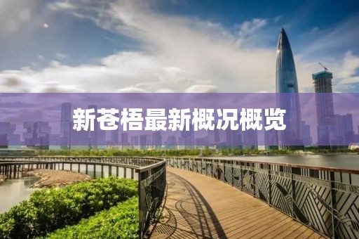 新苍梧最新概况概览