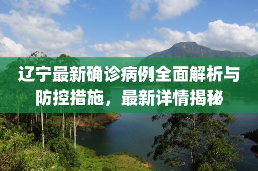 辽宁最新确诊病例全面解析与防控措施，最新详情揭秘