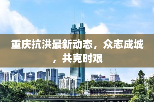 重庆抗洪最新动态，众志成城，共克时艰