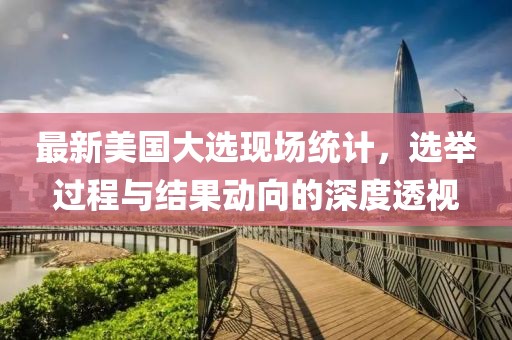 最新美国大选现场统计，选举过程与结果动向的深度透视