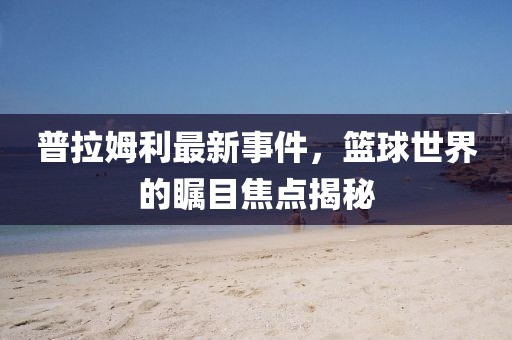 普拉姆利最新事件，篮球世界的瞩目焦点揭秘