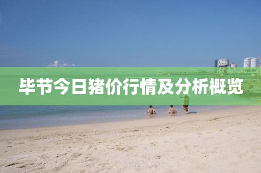 毕节今日猪价行情及分析概览