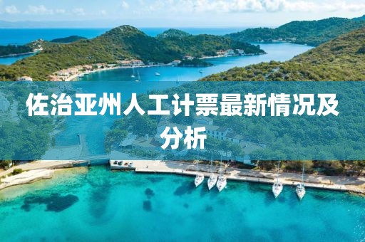 佐治亚州人工计票最新情况及分析