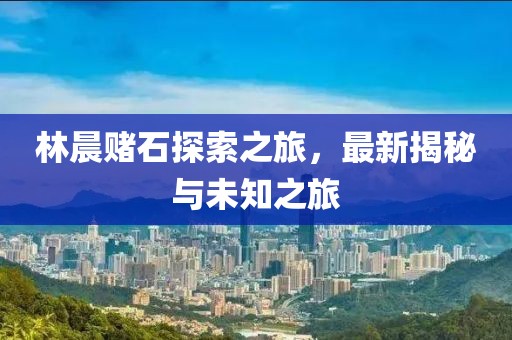 林晨赌石探索之旅，最新揭秘与未知之旅