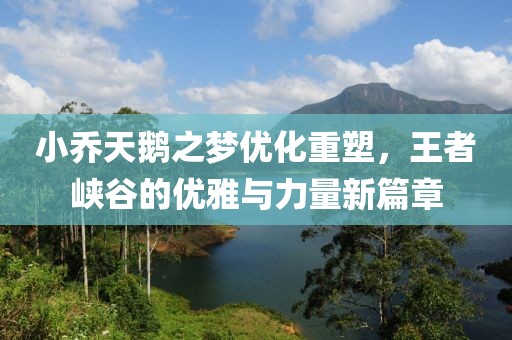 小乔天鹅之梦优化重塑，王者峡谷的优雅与力量新篇章