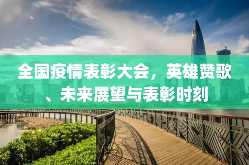 全国疫情表彰大会，英雄赞歌、未来展望与表彰时刻