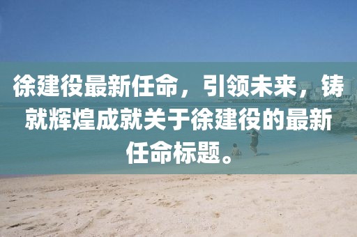 徐建役最新任命，引领未来，铸就辉煌成就关于徐建役的最新任命标题。