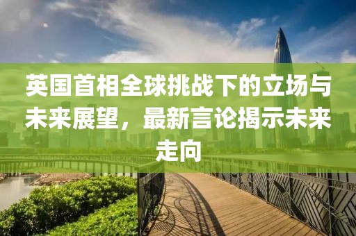 英国首相全球挑战下的立场与未来展望，最新言论揭示未来走向