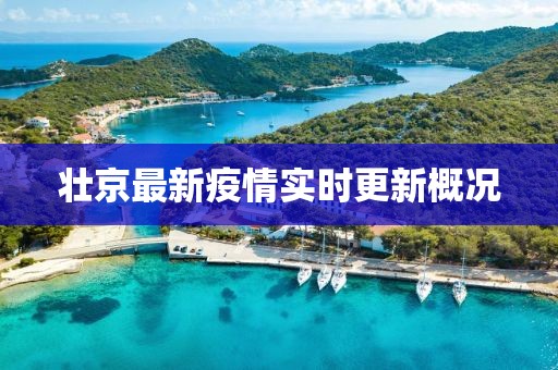 壮京最新疫情实时更新概况