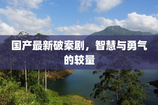 国产最新破案剧，智慧与勇气的较量
