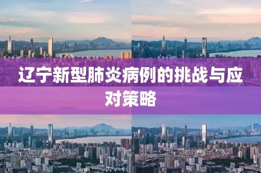 辽宁新型肺炎病例的挑战与应对策略