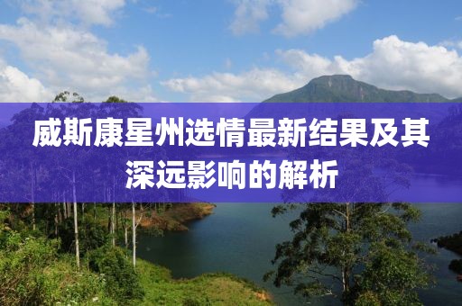 威斯康星州选情最新结果及其深远影响的解析