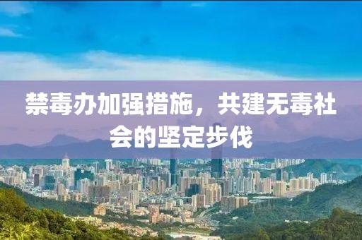 禁毒办加强措施，共建无毒社会的坚定步伐
