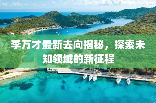 李万才最新去向揭秘，探索未知领域的新征程