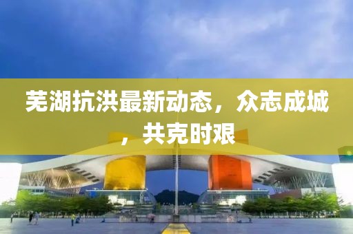 芜湖抗洪最新动态，众志成城，共克时艰