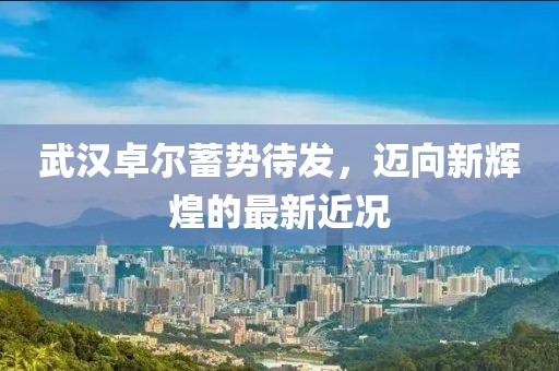 武汉卓尔蓄势待发，迈向新辉煌的最新近况