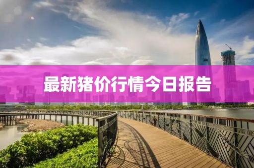 最新猪价行情今日报告