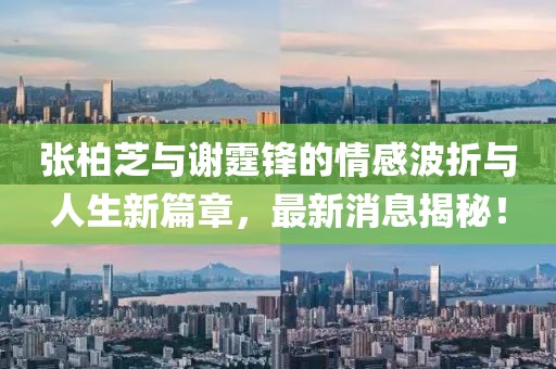 张柏芝与谢霆锋的情感波折与人生新篇章，最新消息揭秘！