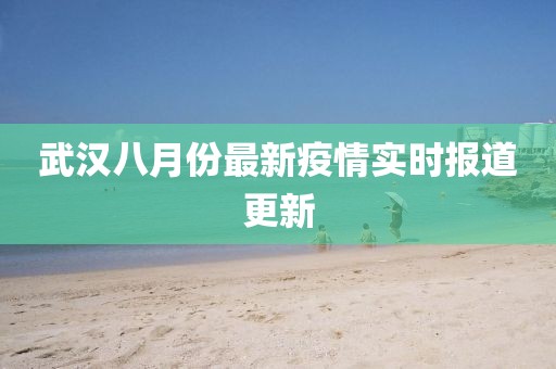武汉八月份最新疫情实时报道更新