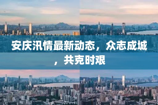 安庆汛情最新动态，众志成城，共克时艰