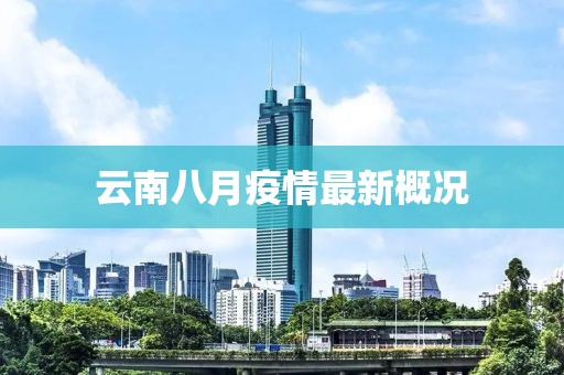 云南八月疫情最新概况