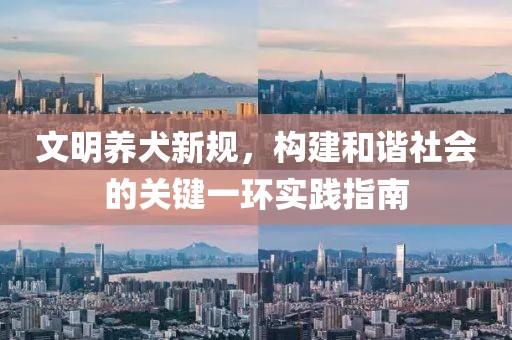 文明养犬新规，构建和谐社会的关键一环实践指南