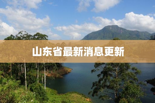 山东省最新消息更新
