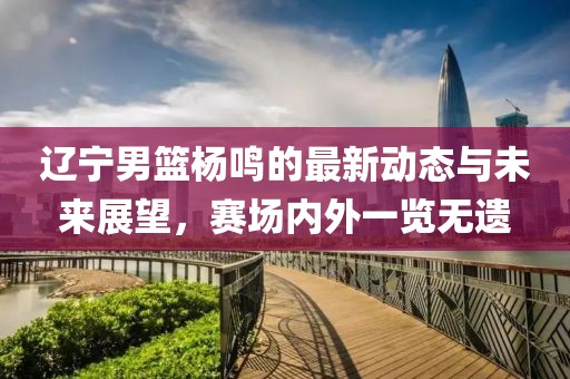 辽宁男篮杨鸣的最新动态与未来展望，赛场内外一览无遗