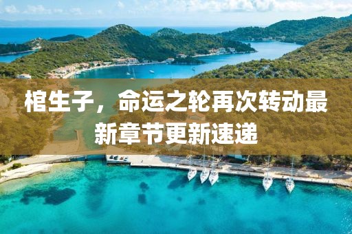 棺生子，命运之轮再次转动最新章节更新速递