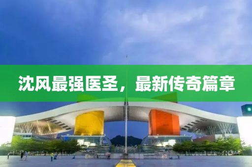 沈风最强医圣，最新传奇篇章