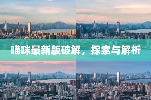 喵咪最新版破解，探索与解析