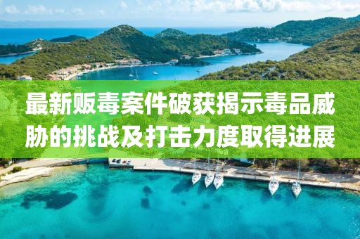 最新贩毒案件破获揭示毒品威胁的挑战及打击力度取得进展