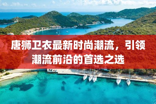 唐狮卫衣最新时尚潮流，引领潮流前沿的首选之选