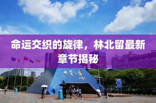 命运交织的旋律，林北留最新章节揭秘