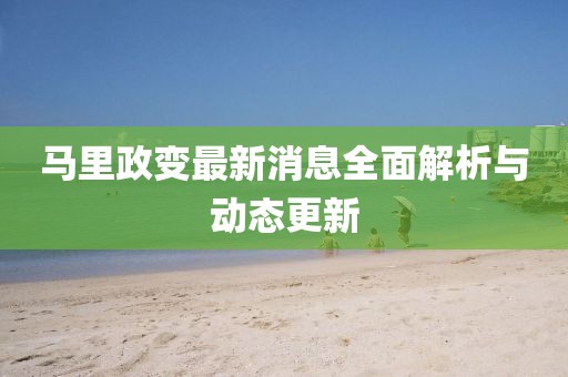 马里政变最新消息全面解析与动态更新