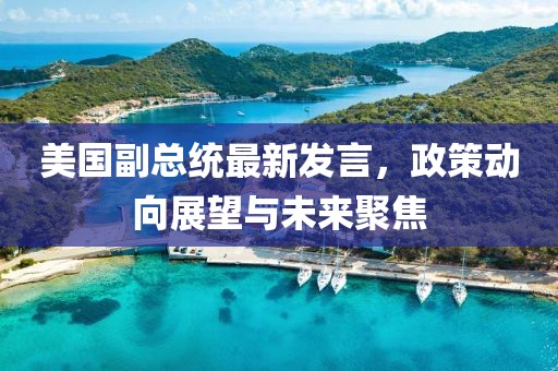 美国副总统最新发言，政策动向展望与未来聚焦
