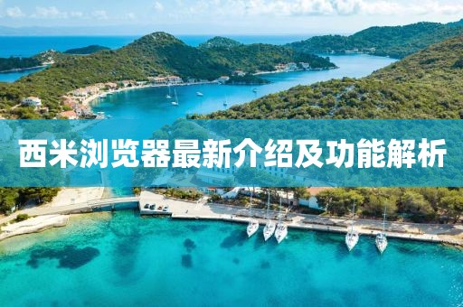 西米浏览器最新介绍及功能解析
