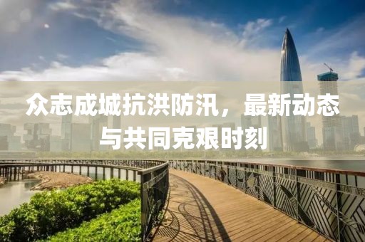 众志成城抗洪防汛，最新动态与共同克艰时刻