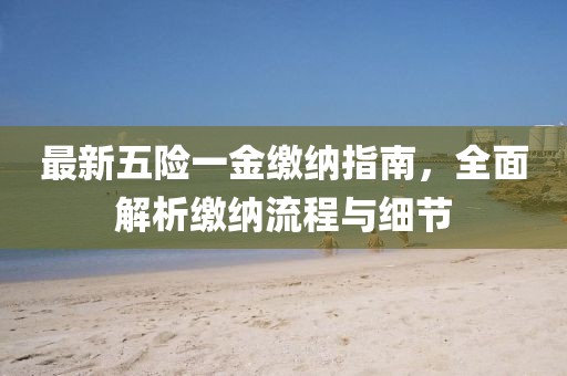 最新五险一金缴纳指南，全面解析缴纳流程与细节