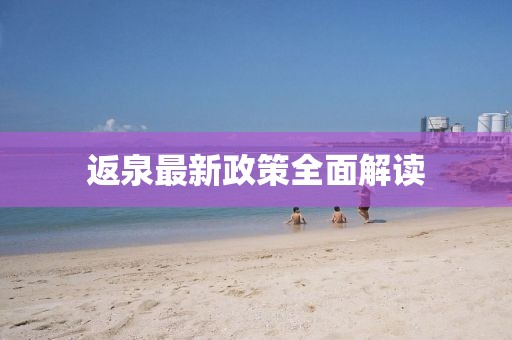 返泉最新政策全面解读