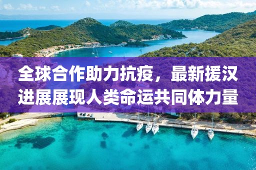 全球合作助力抗疫，最新援汉进展展现人类命运共同体力量