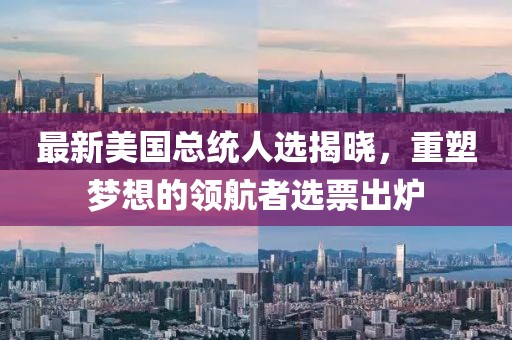 最新美国总统人选揭晓，重塑梦想的领航者选票出炉