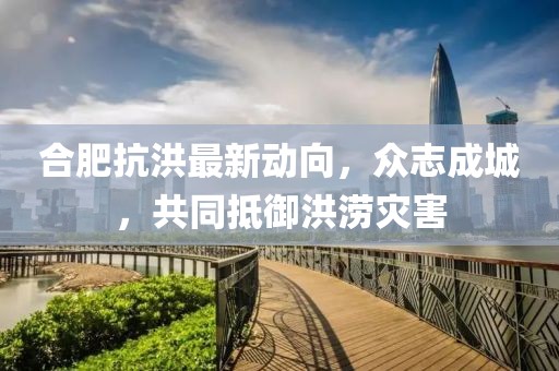 合肥抗洪最新动向，众志成城，共同抵御洪涝灾害
