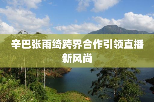 辛巴张雨绮跨界合作引领直播新风尚