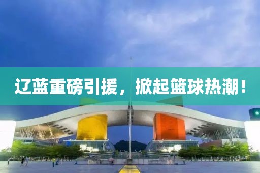 辽蓝重磅引援，掀起篮球热潮！