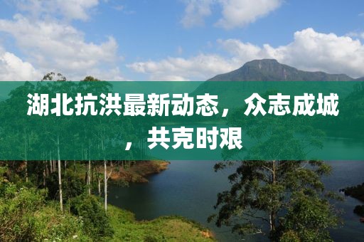 湖北抗洪最新动态，众志成城，共克时艰