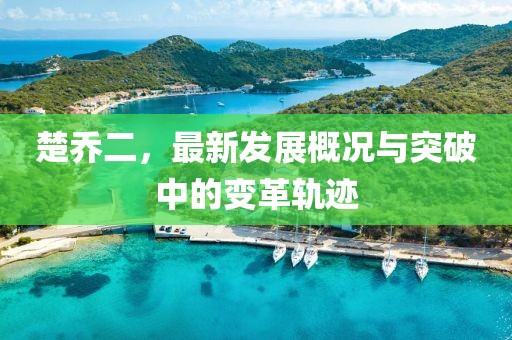 楚乔二，最新发展概况与突破中的变革轨迹